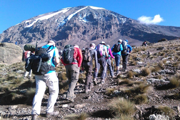 8 Days Kilimanjaro Climbing - Lemosho Route